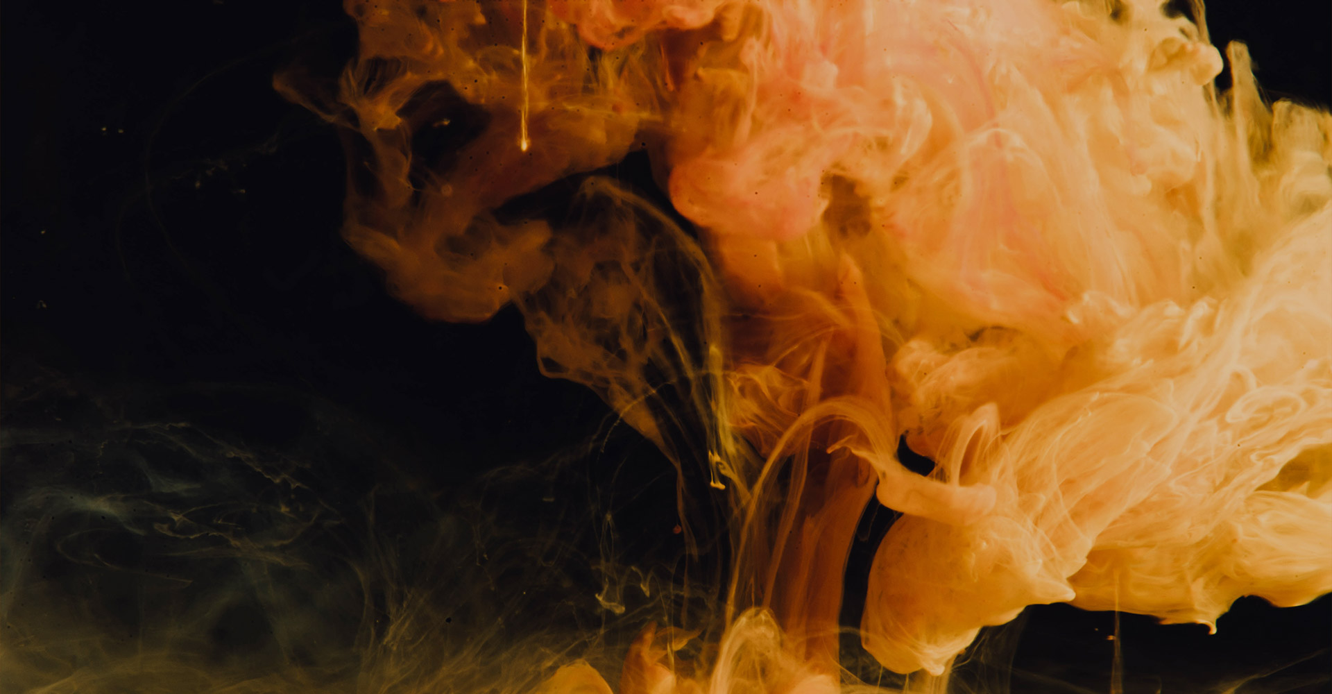 home-1_slider-2_bg