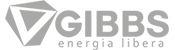gibbsen-ergia-boostar